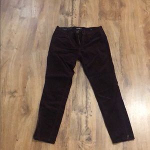 Loft corduroy crop pants